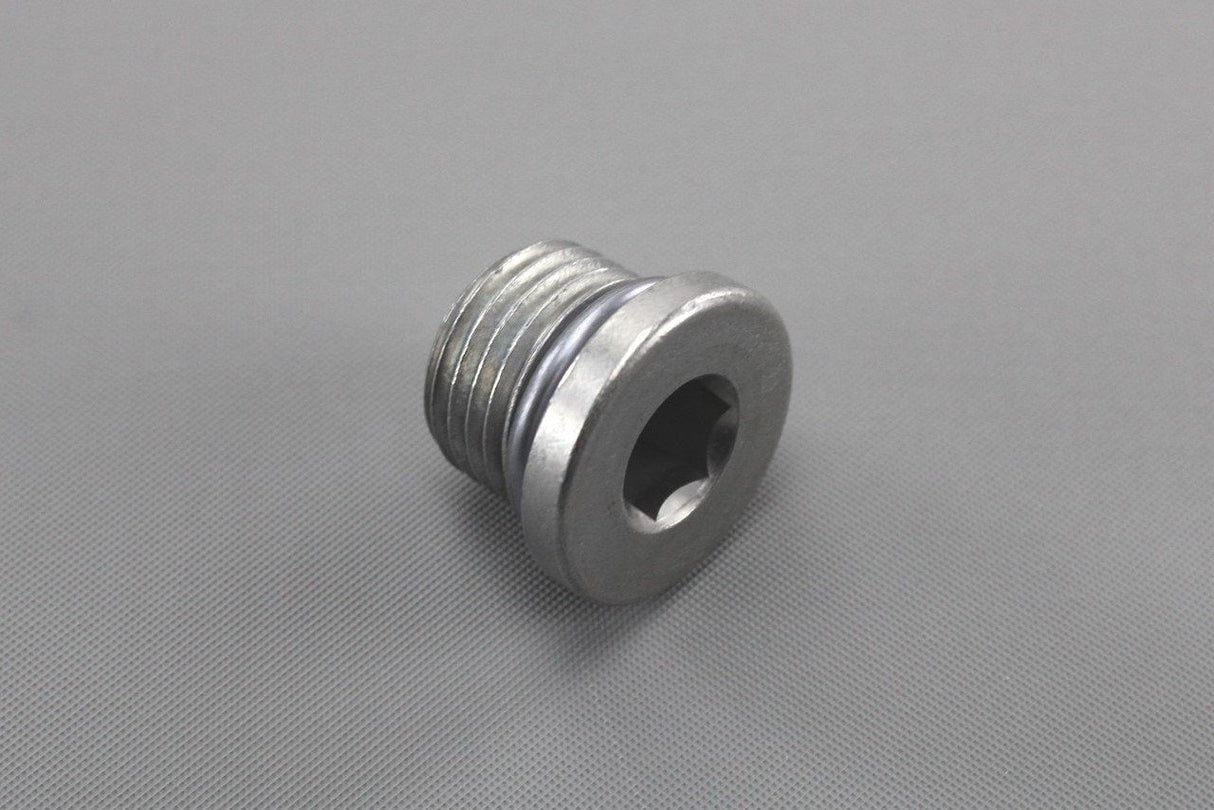 VW Touareg Audi A4 A6 A8 Q5 Q7 differential plug bolt M16x1.5 0AA409057