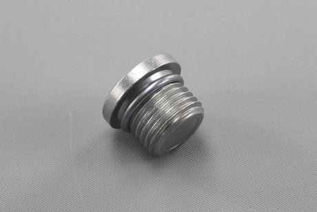VW Touareg Audi A4 A6 A8 Q5 Q7 differential plug bolt M16x1.5 0AA409057