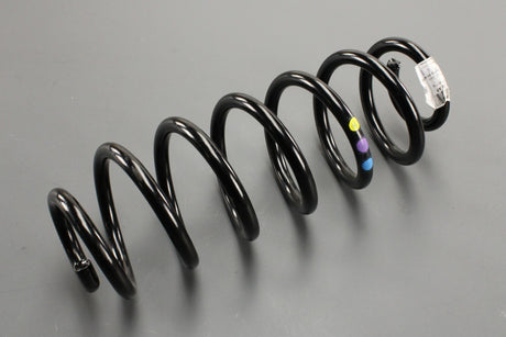 VW Passat B6 B7 B8 SEAT Alhambra 11-20 coil spring (rear) 3C0511115AP