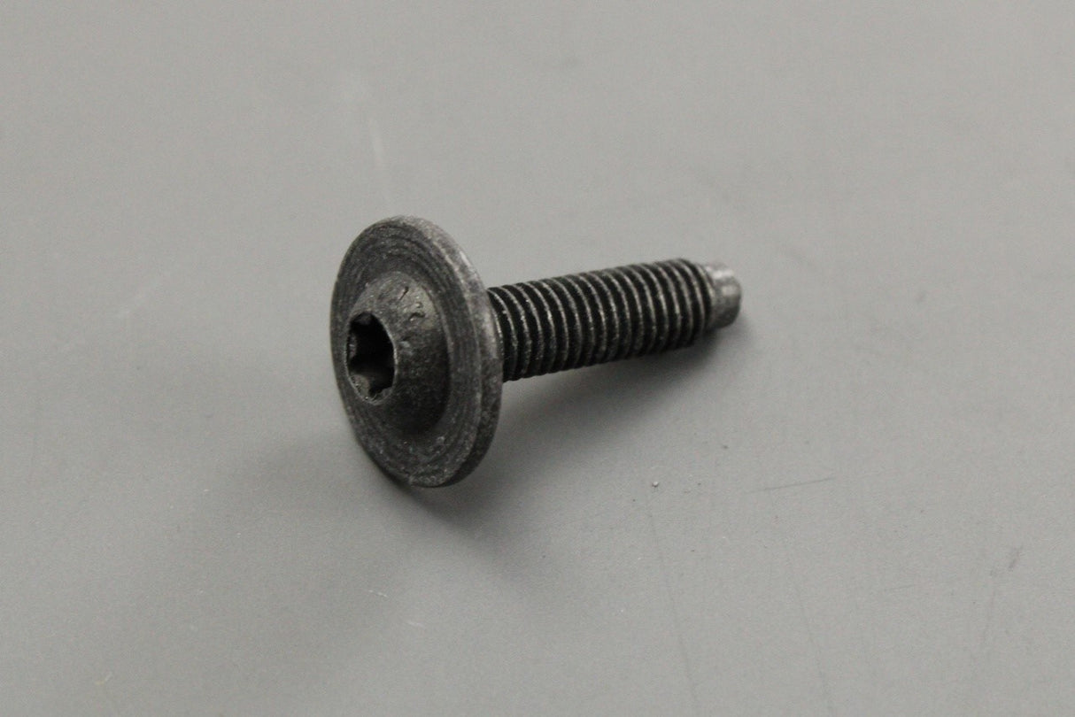 VW Golf Beetle Tiguan Passat bonnet lock bolt M6 (x1) N90807301