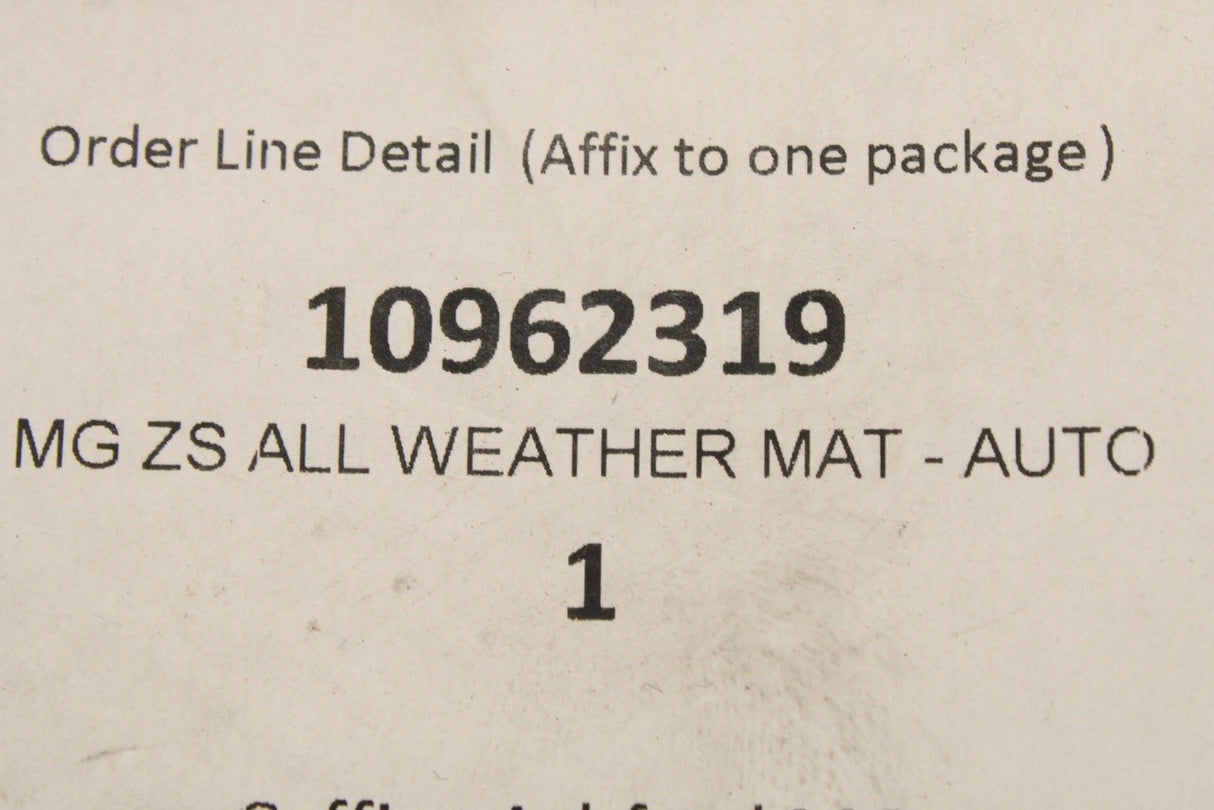 MG ZS Auto 2017-2024 all weather floor mats (RHD) 10962319
