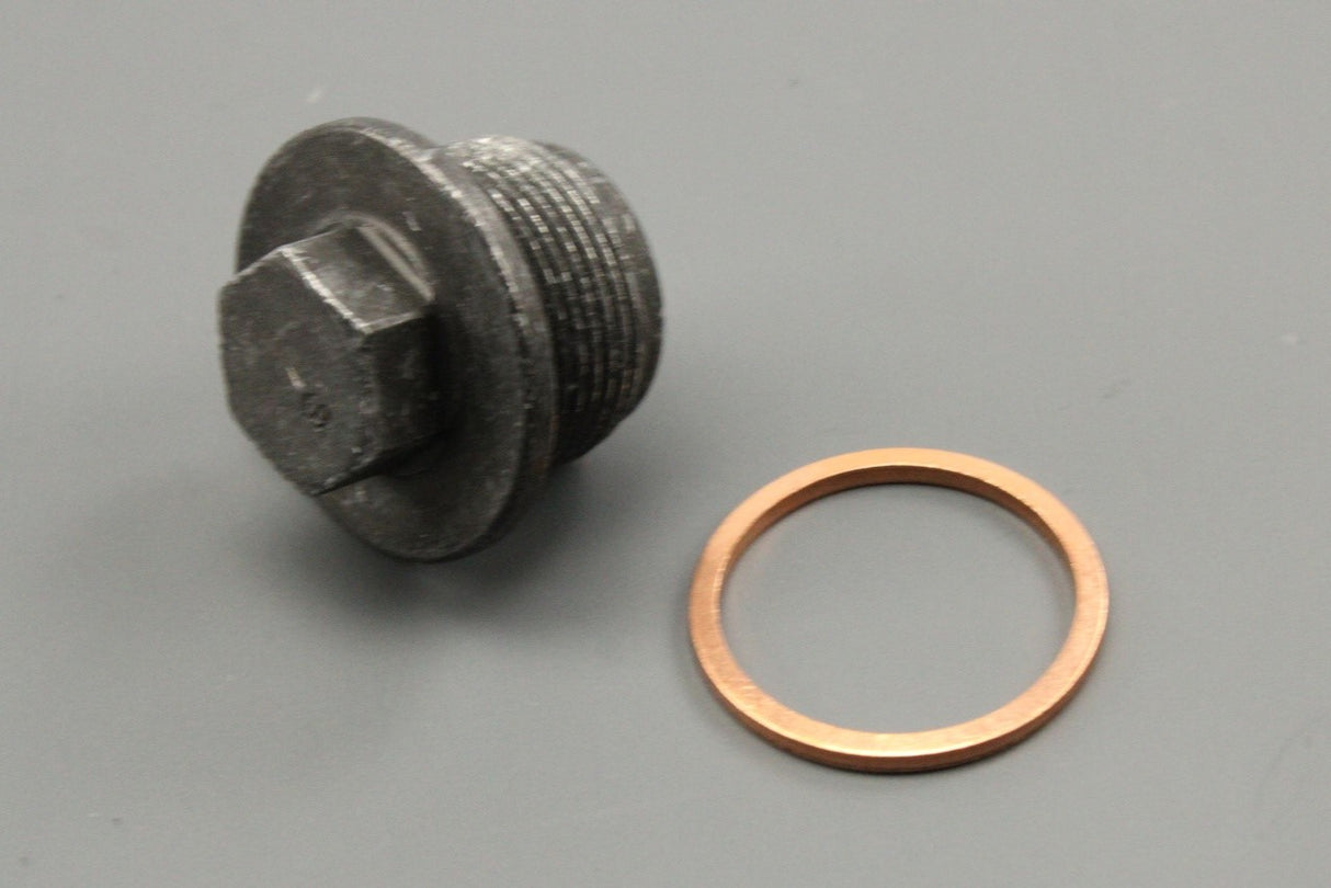 VW Transporter T4 2.5 TDI sump plug & washer (x1) 059103193 / N0438541