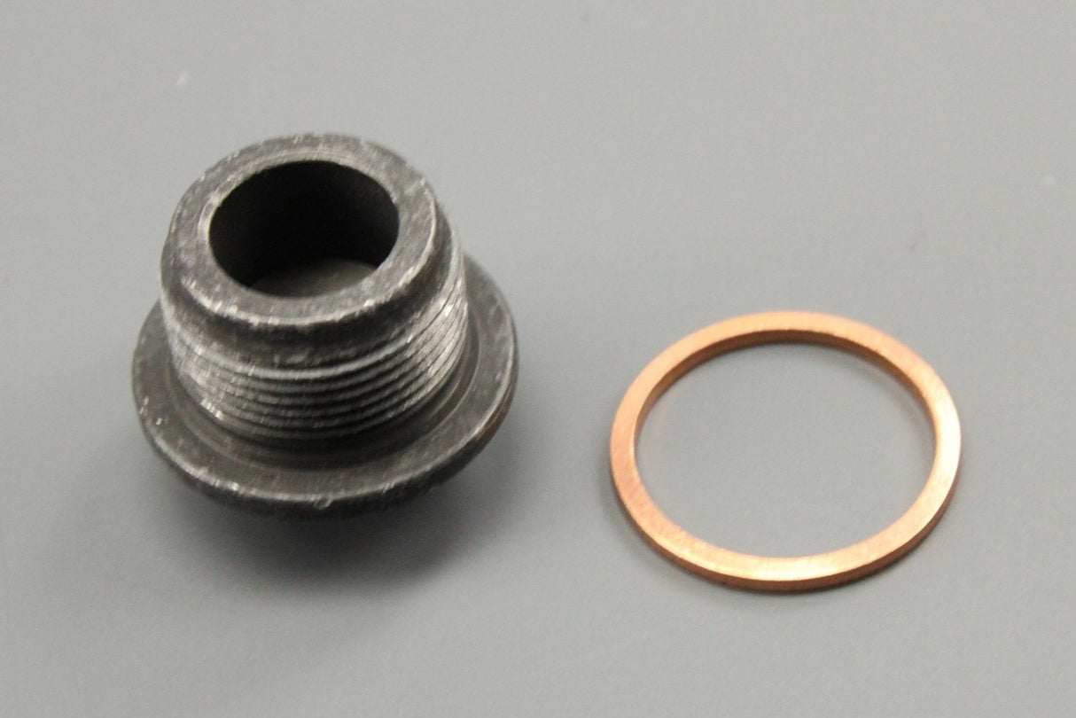 VW Transporter T4 2.5 TDI sump plug & washer (x1) 059103193 / N0438541