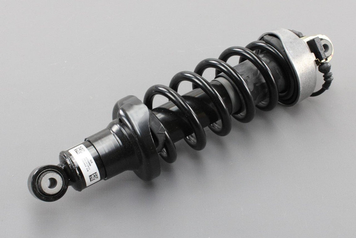 Audi R8 coupe 2007-12 rear complete suspension strut (left) 420512019AJ