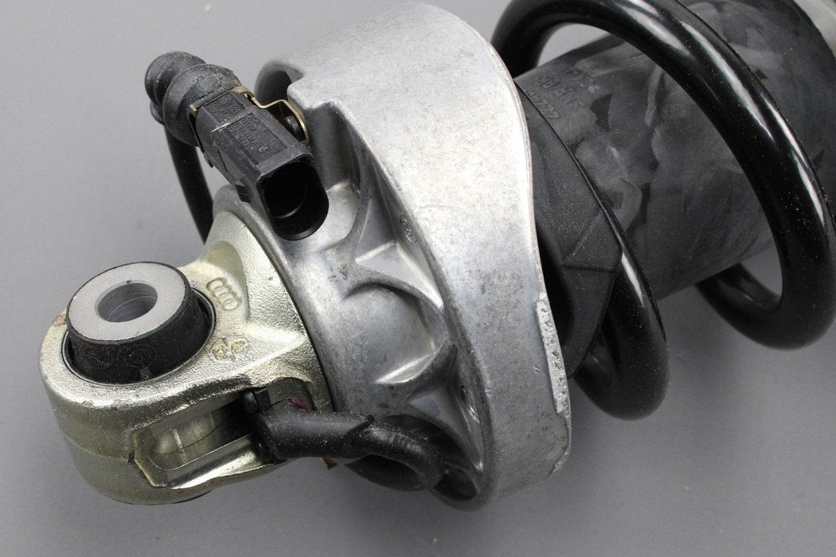 Audi R8 coupe 2007-12 rear complete suspension strut (left) 420512019AJ