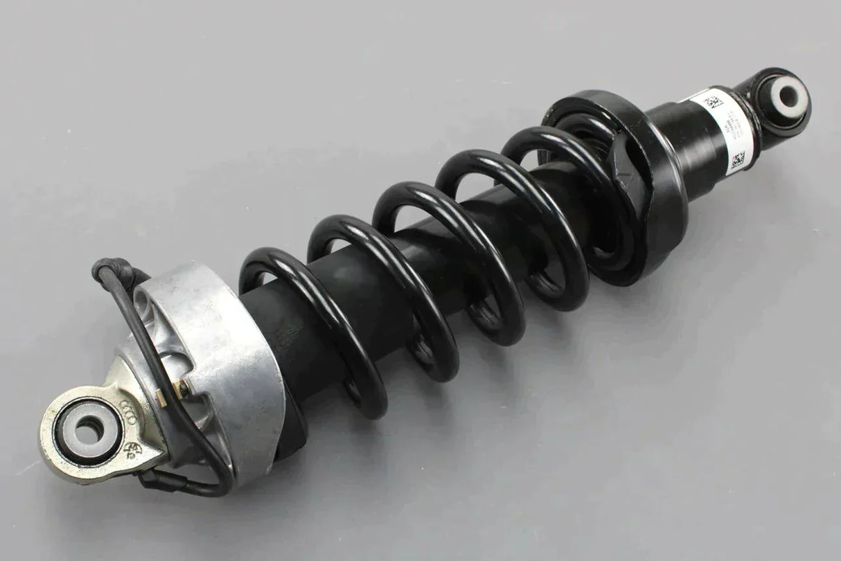 Audi R8 coupe 2007-12 rear complete suspension strut (right) 420512020AJ