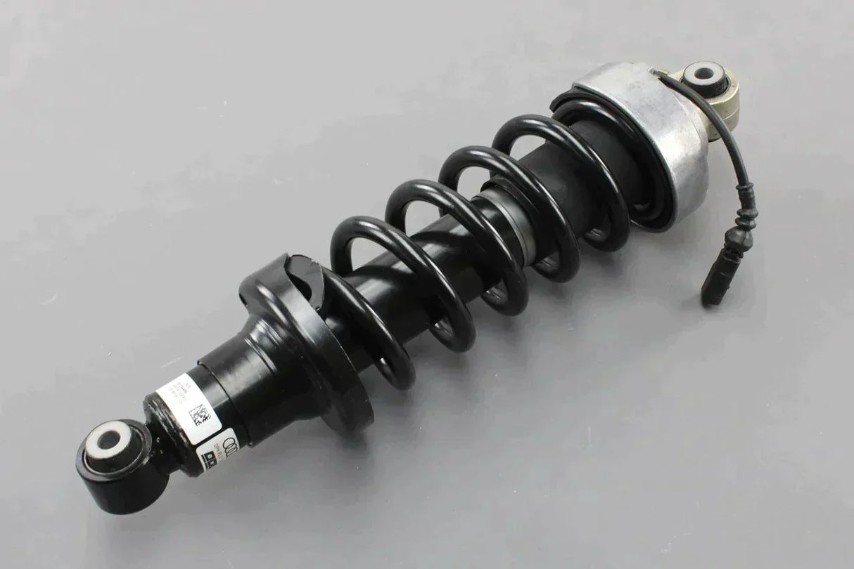 Audi R8 coupe 2007-12 rear complete suspension strut (right) 420512020AJ