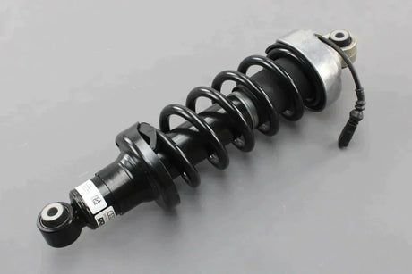 Audi R8 coupe 2007-12 rear complete suspension strut (right) 420512020AJ