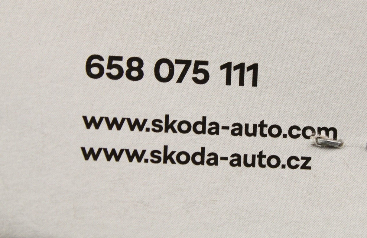 Skoda Kamiq 2020-on Scala 2019-on mud flaps (front) 658075111