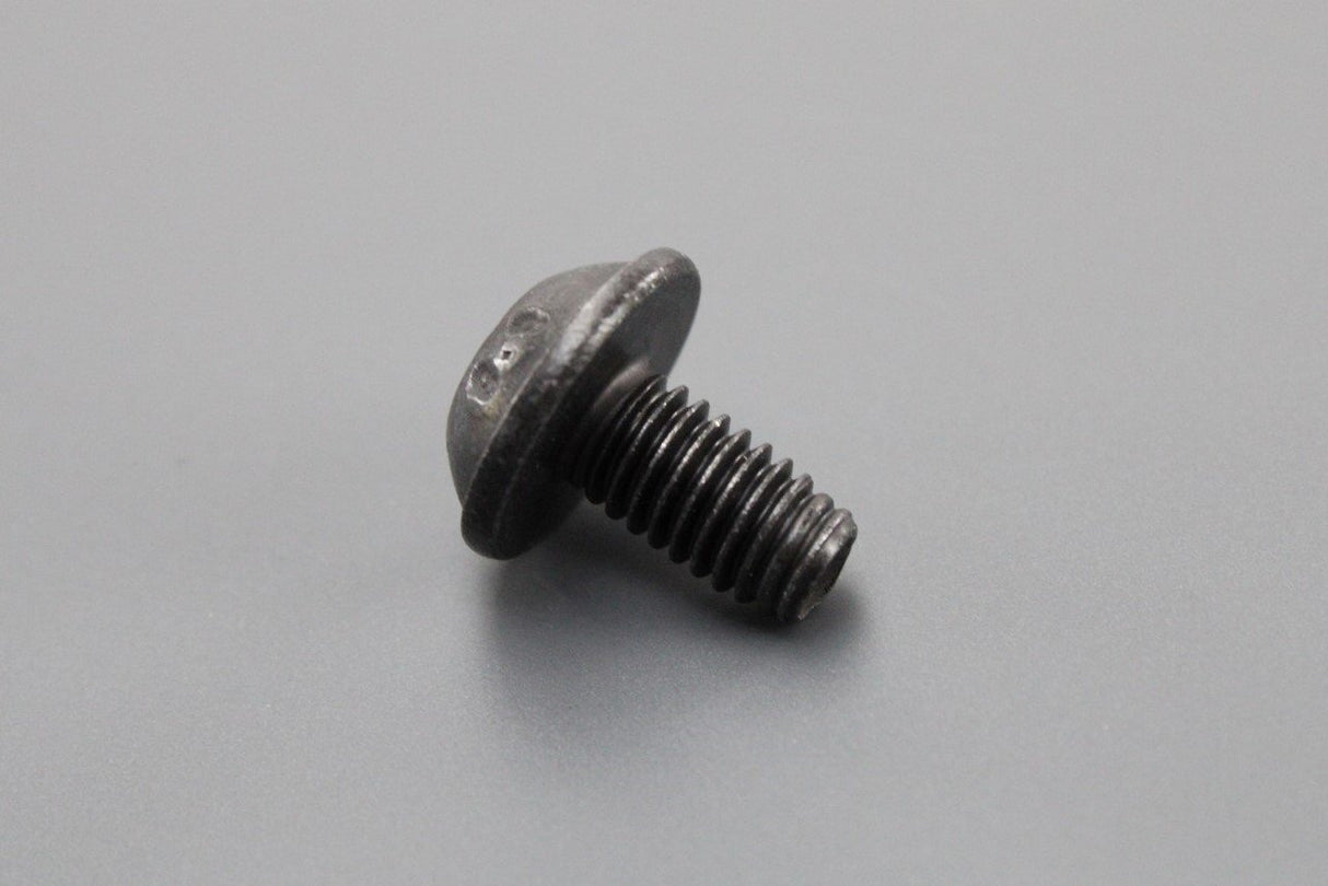 VW Audi torx socket head bolt door check strap M6x10 (x1) N10833601