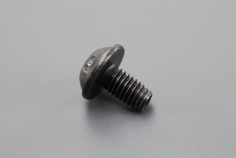 VW Audi torx socket head bolt door check strap M6x10 (x1) N10833601