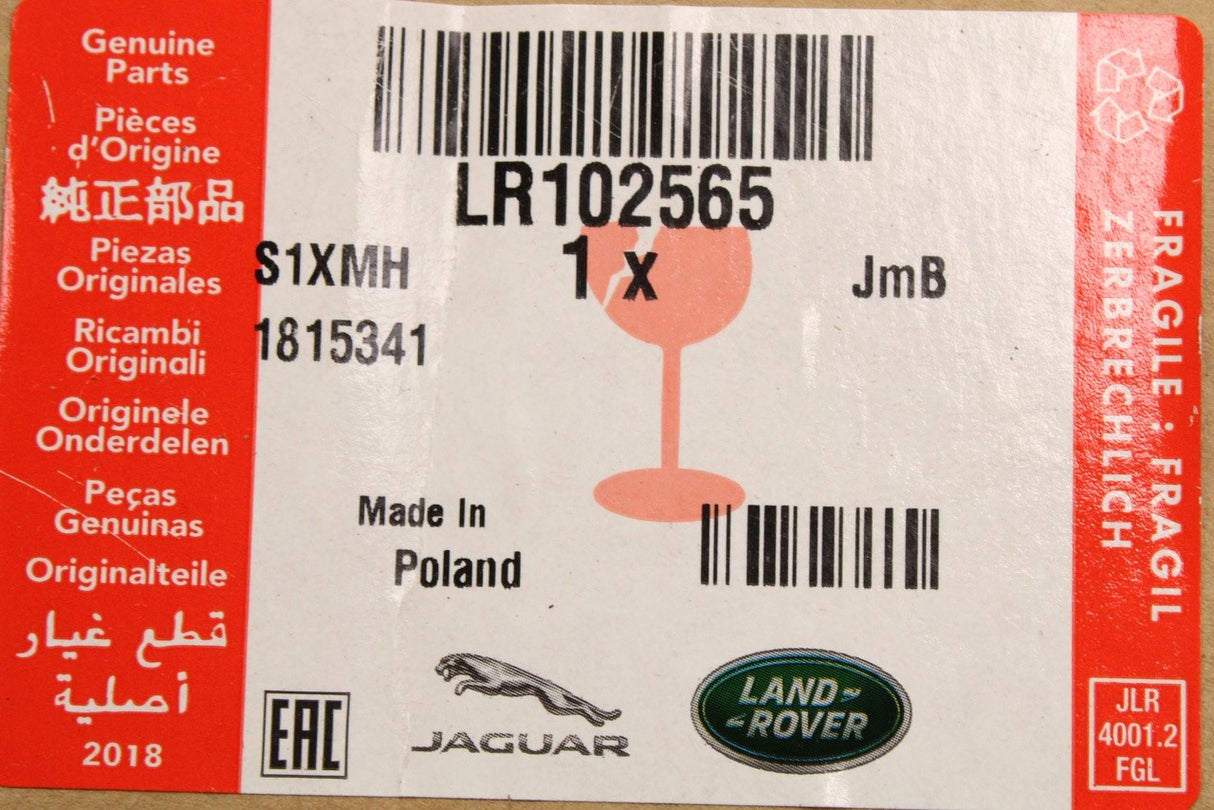 Land Rover Discovery 5 2017-on door weather strip (rear right) LR102565