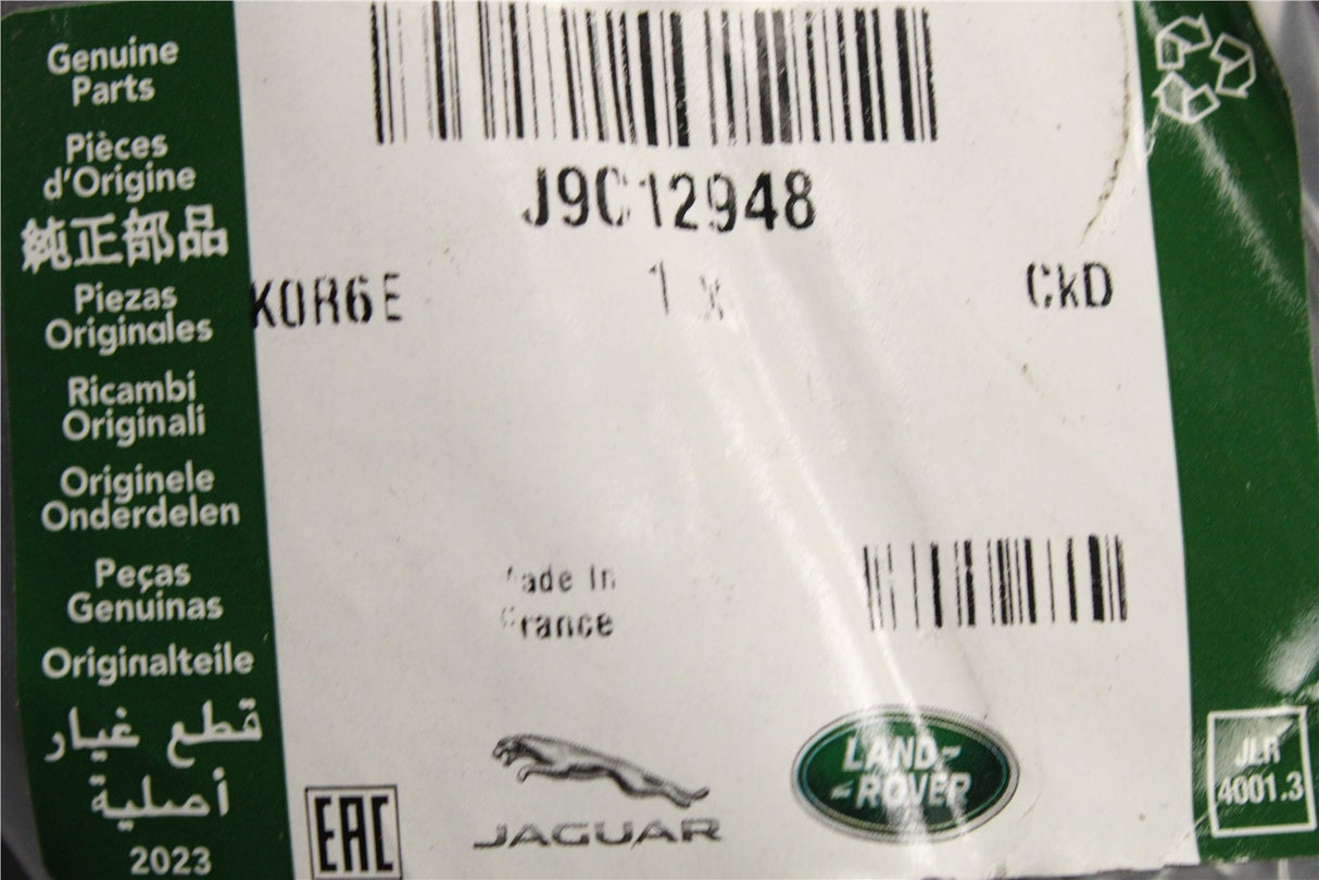 Jaguar E-Pace 2017-on outer window aperture seal (right) J9C12948