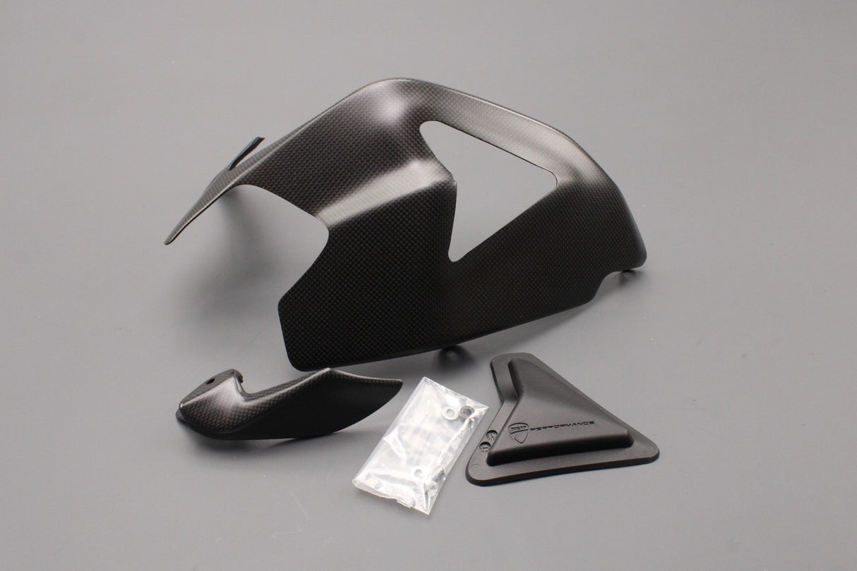 Ducati 1199 1299 V2 Panigale 14-18 carbon swingarm cover guard 96900212A
