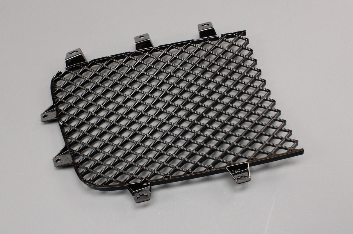 Bentley Continental GT GTC 12-17 front radiator grille (left) 3W3853683A