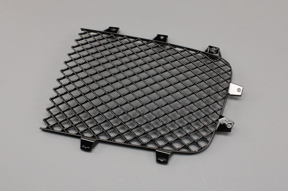 Bentley Continental GT GTC 12-17 front radiator grille (left) 3W3853683A