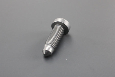 VW Audi Skoda SEAT socket head bolt inner multipoint head N98926102