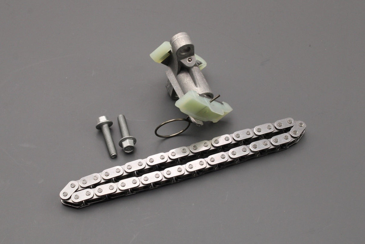 Land Rover Range Rover 2.7L 3.0L V6 timing chain kit 1316113