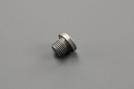 VW Audi Skoda SEAT sealing plug (M10x1) N0160243