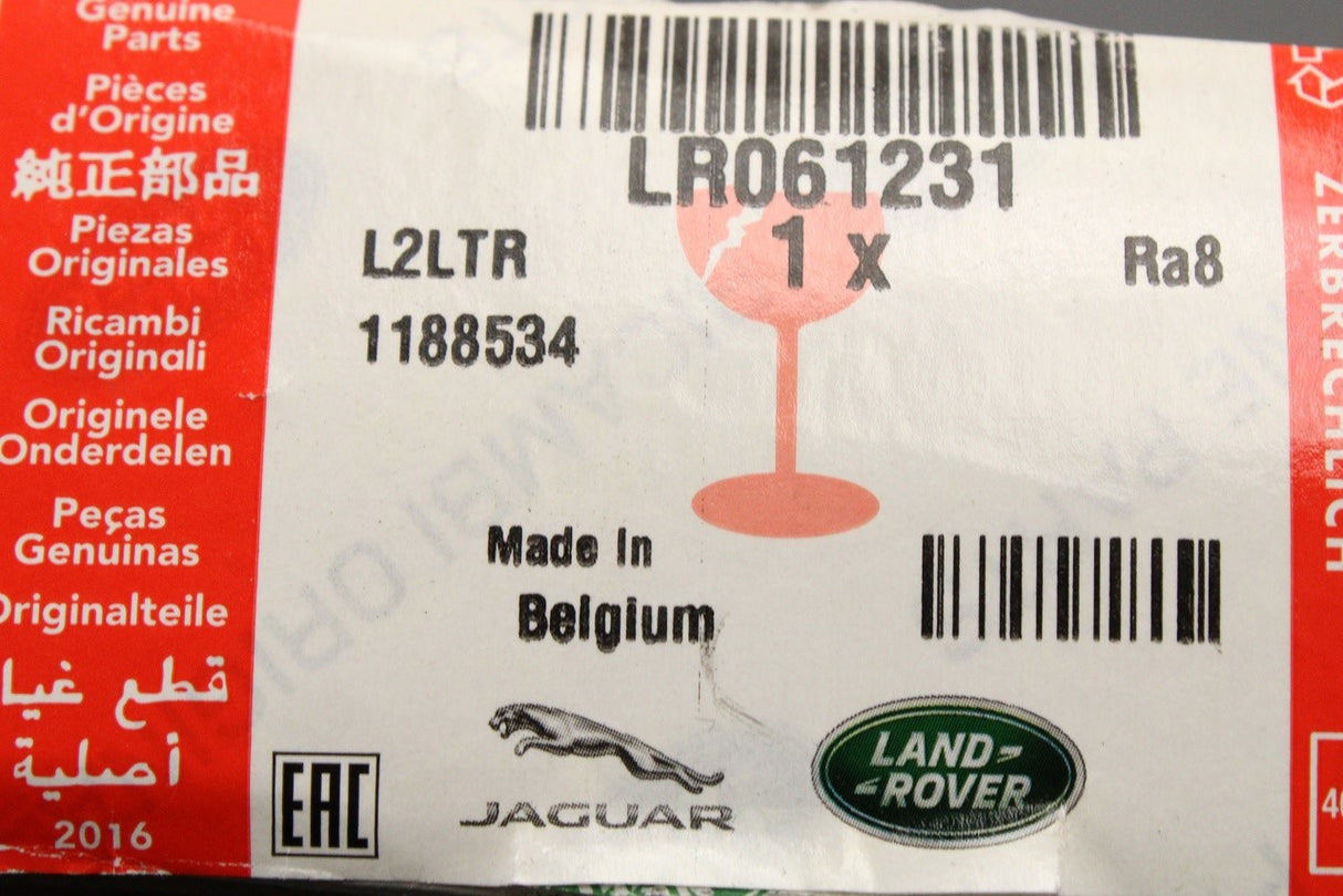 Land Rover Discovery Sport 2015-on fog light bezel (right) LR061231