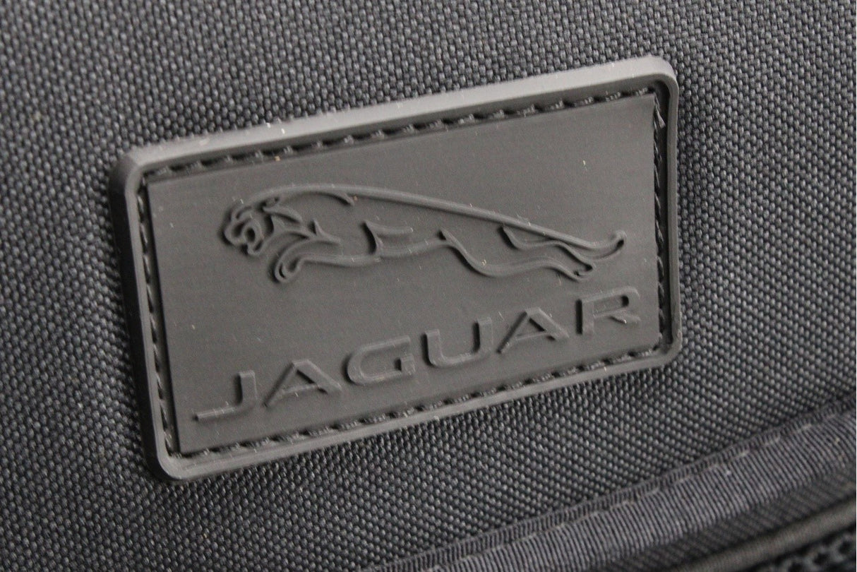 Jaguar portable rinse system accessory T2H38746