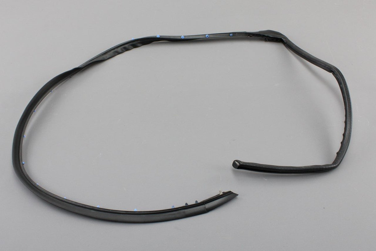 VW Jetta 2011-2018 Rear passenger lower door seal (Right) 5C6839700C