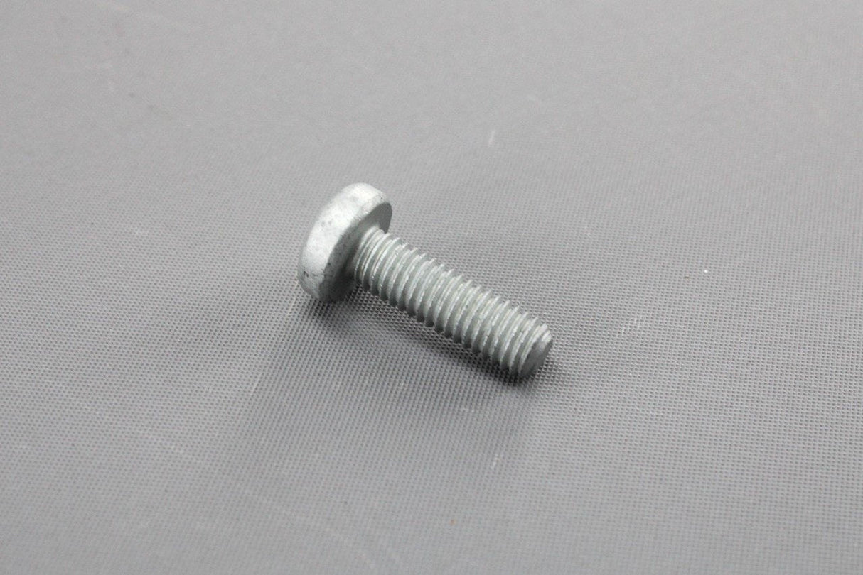 VW Audi Skoda SEAT oval hexagon socket head bolt M6x20 N10124306