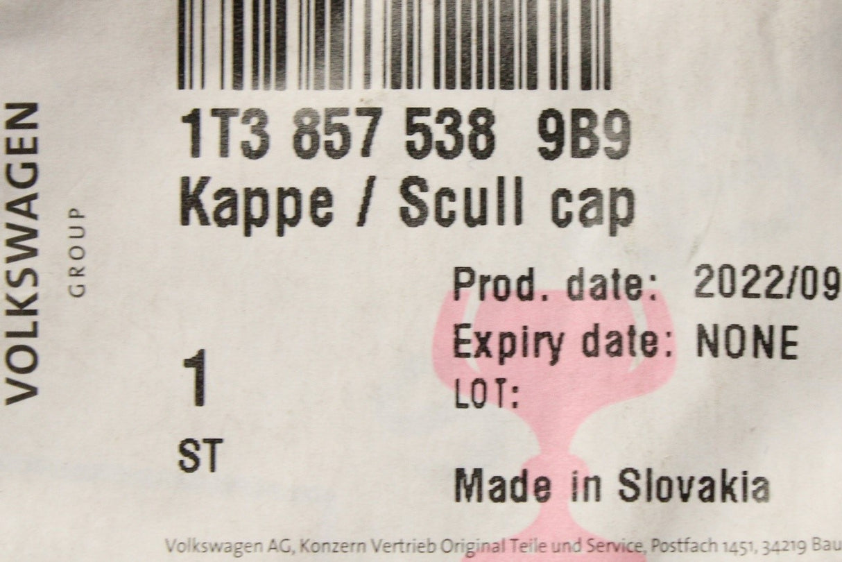 VW ID.Buzz 2022-on wing mirror cover cap (right) 1T3857538 9B9