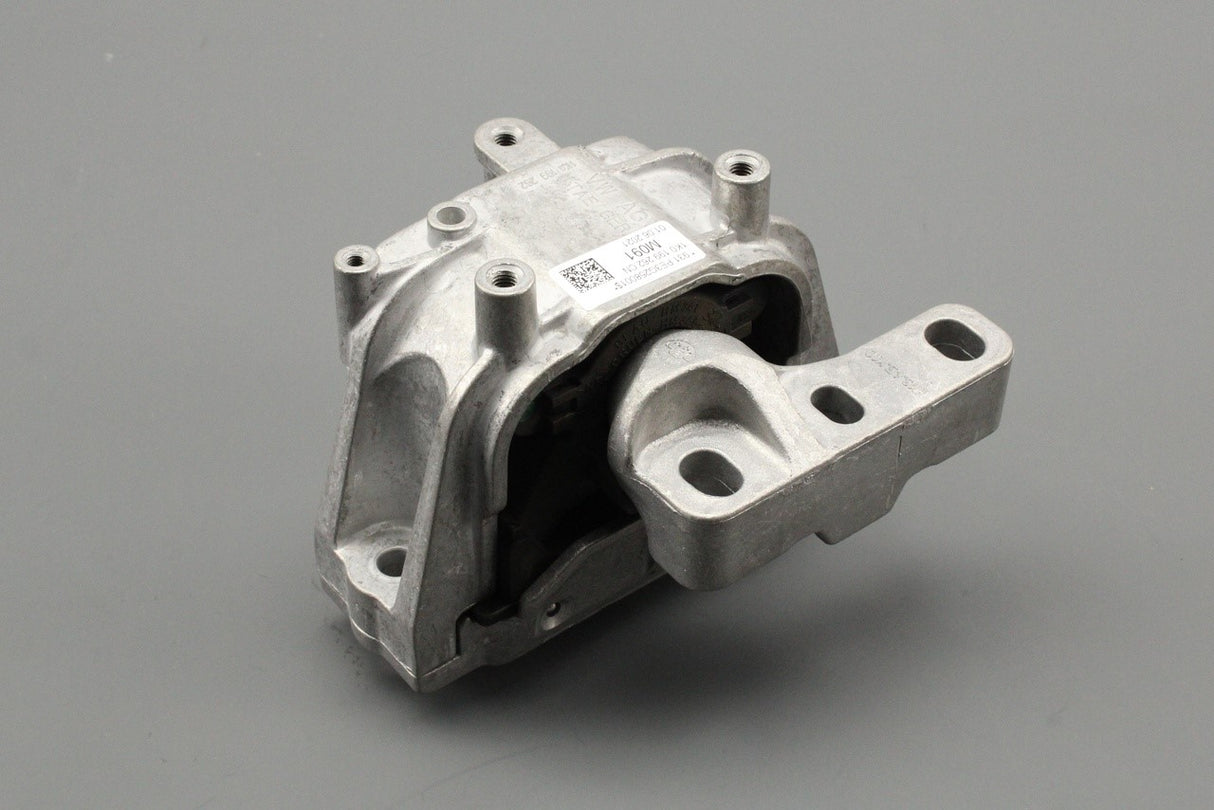 VW Golf MK6 Audi Skoda SEAT 1.6 2.0 TDI engine mount (right) 1K0199262CN