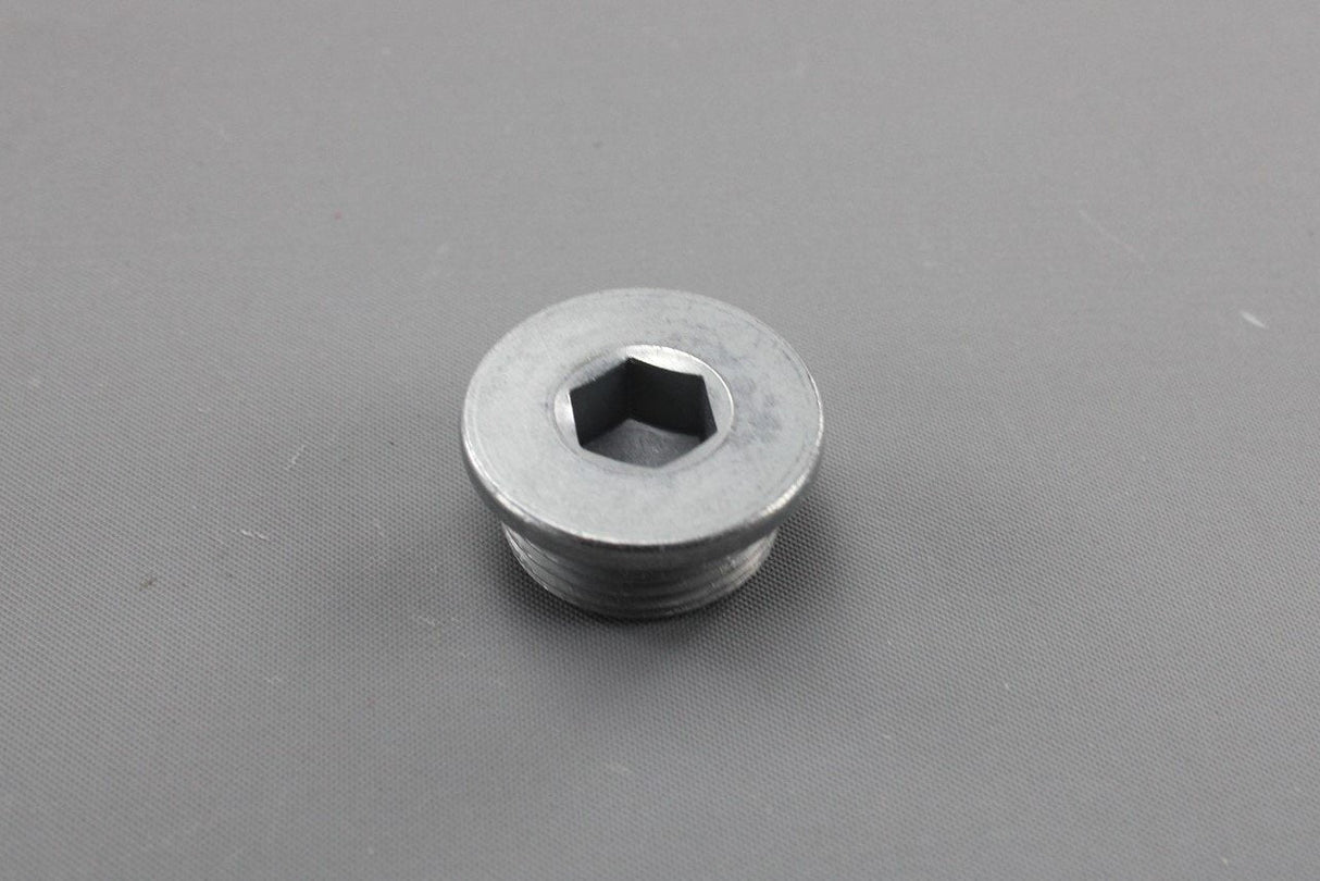 Audi DSG gearbox mechatronic oil sump drain plug M22x1.5 (x1) WHT005282