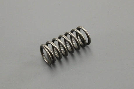 Toyota RAV4 05-19 Lexus valve compression spring (x1) 90501-28039