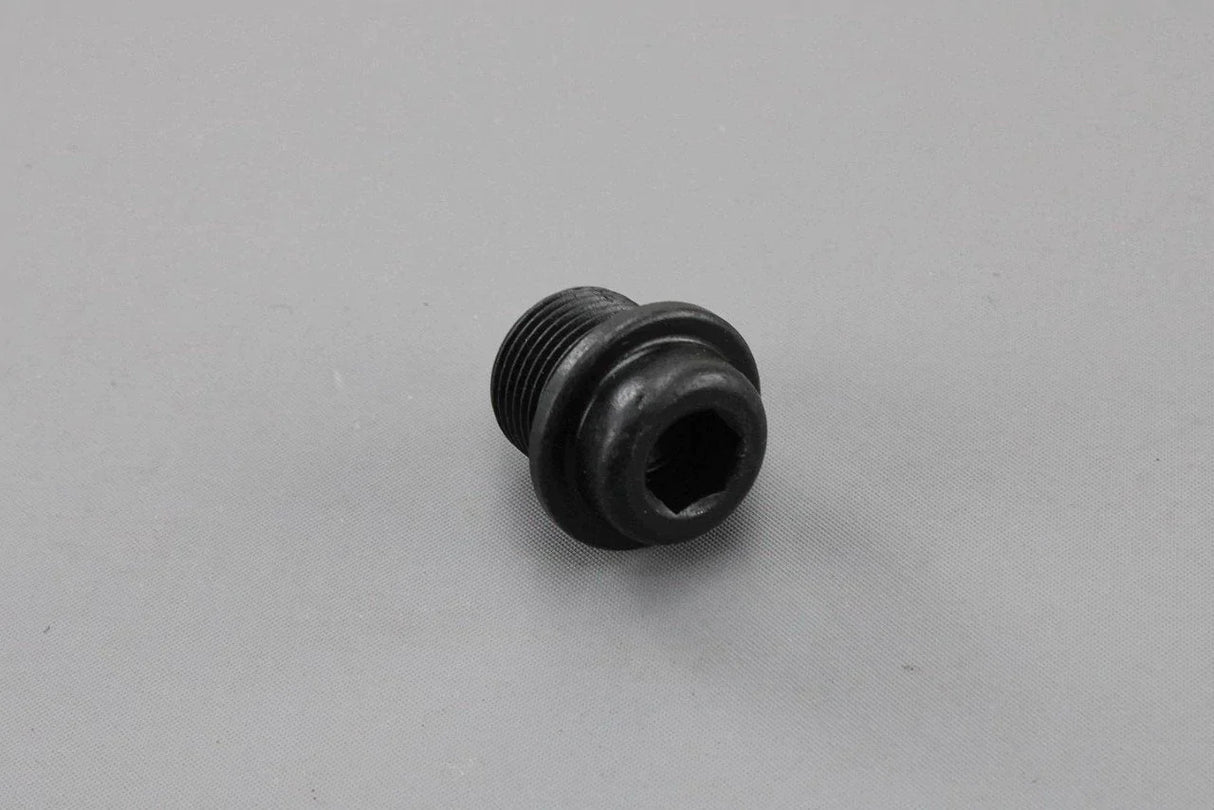 VW Audi Skoda SEAT Final drive sealing drain plug (M20x1.5) 02M409057