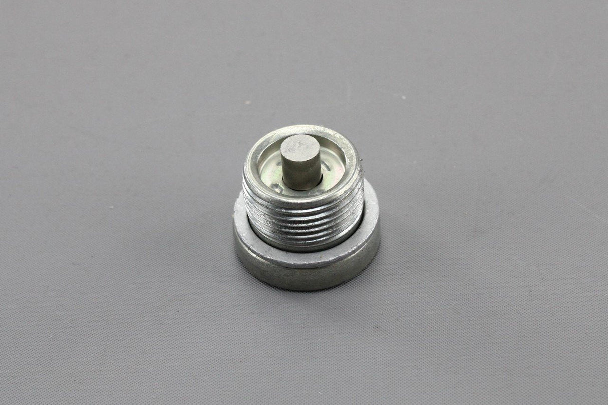 Audi e-Tron 2019-on gearbox sealing plug M22 (x1) N91281501
