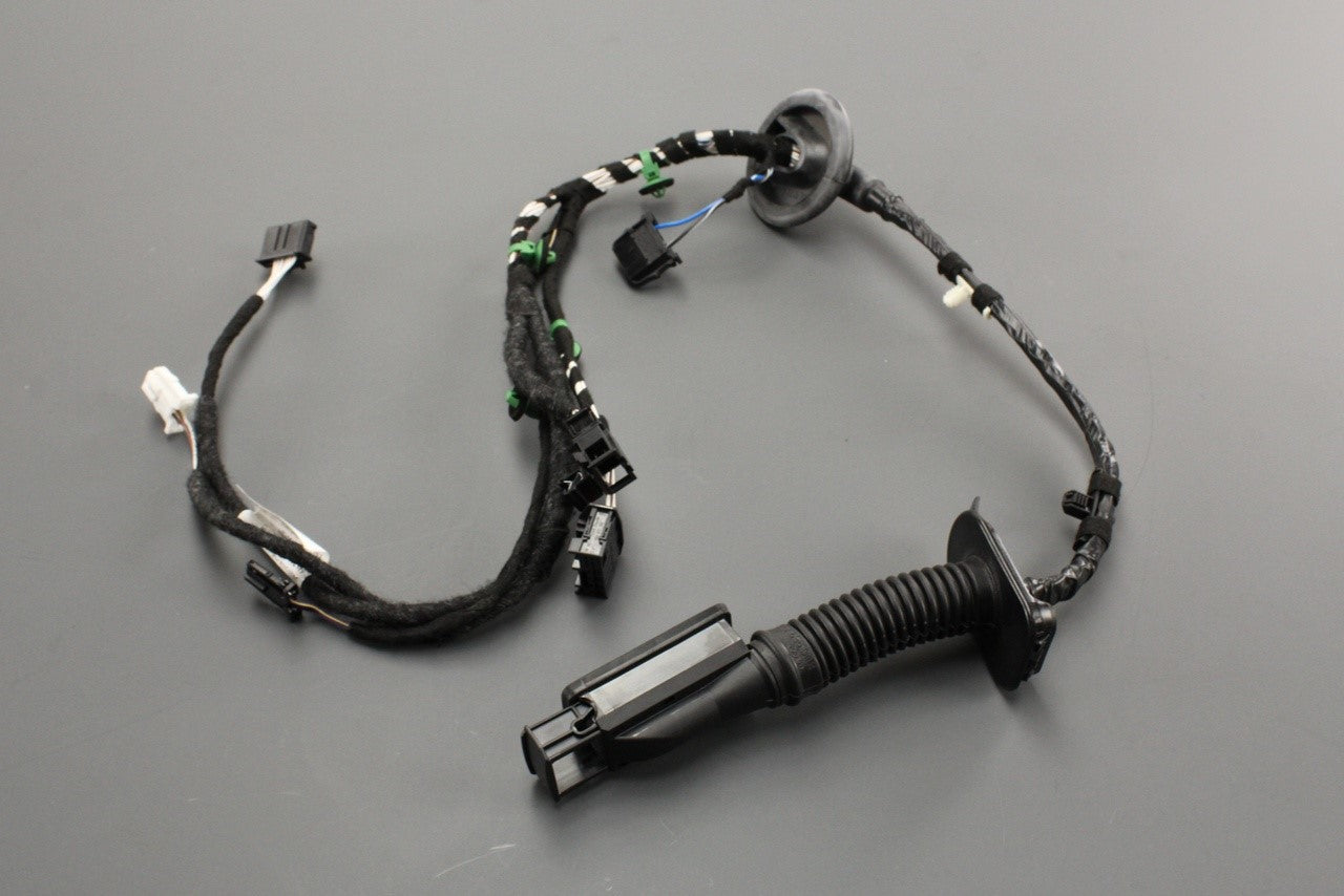 VW Passat B8 rear door wiring harness (right) 3G0971694H