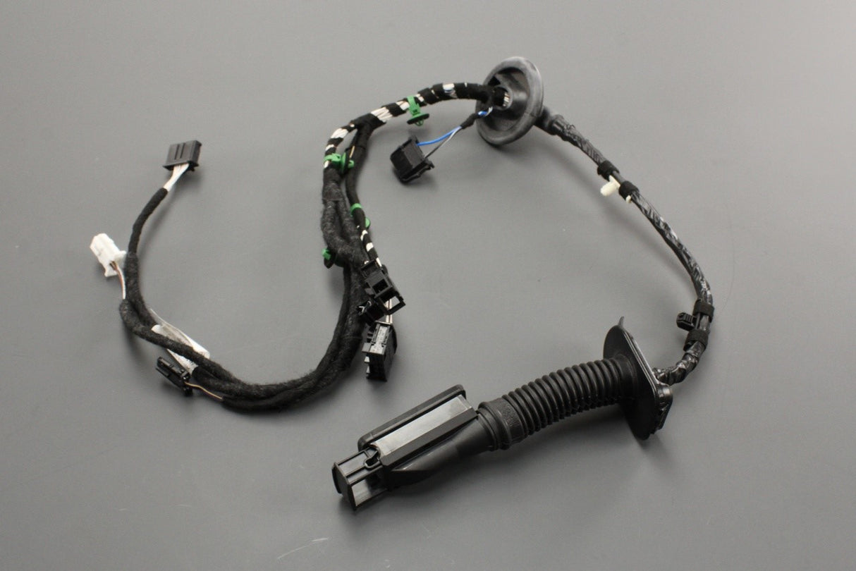 VW Passat B8 rear door wiring harness (right) 3G0971694H
