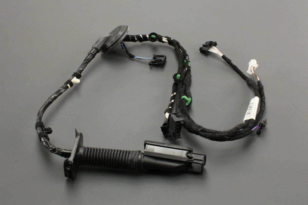 VW Passat B8 rear door wiring harness (right) 3G0971694H