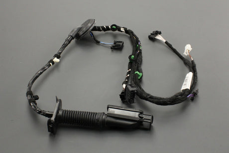 VW Passat B8 rear door wiring harness (right) 3G0971694H