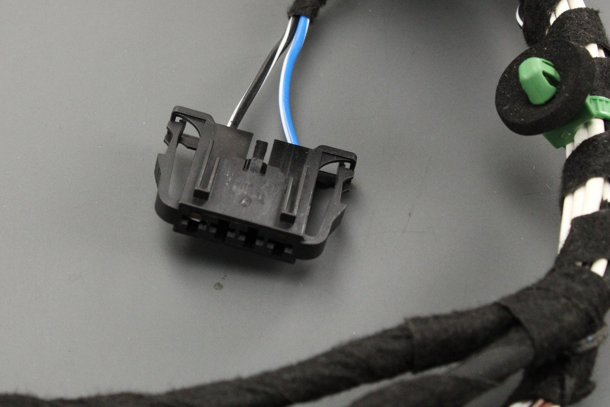 VW Passat B8 rear door wiring harness (right) 3G0971694H