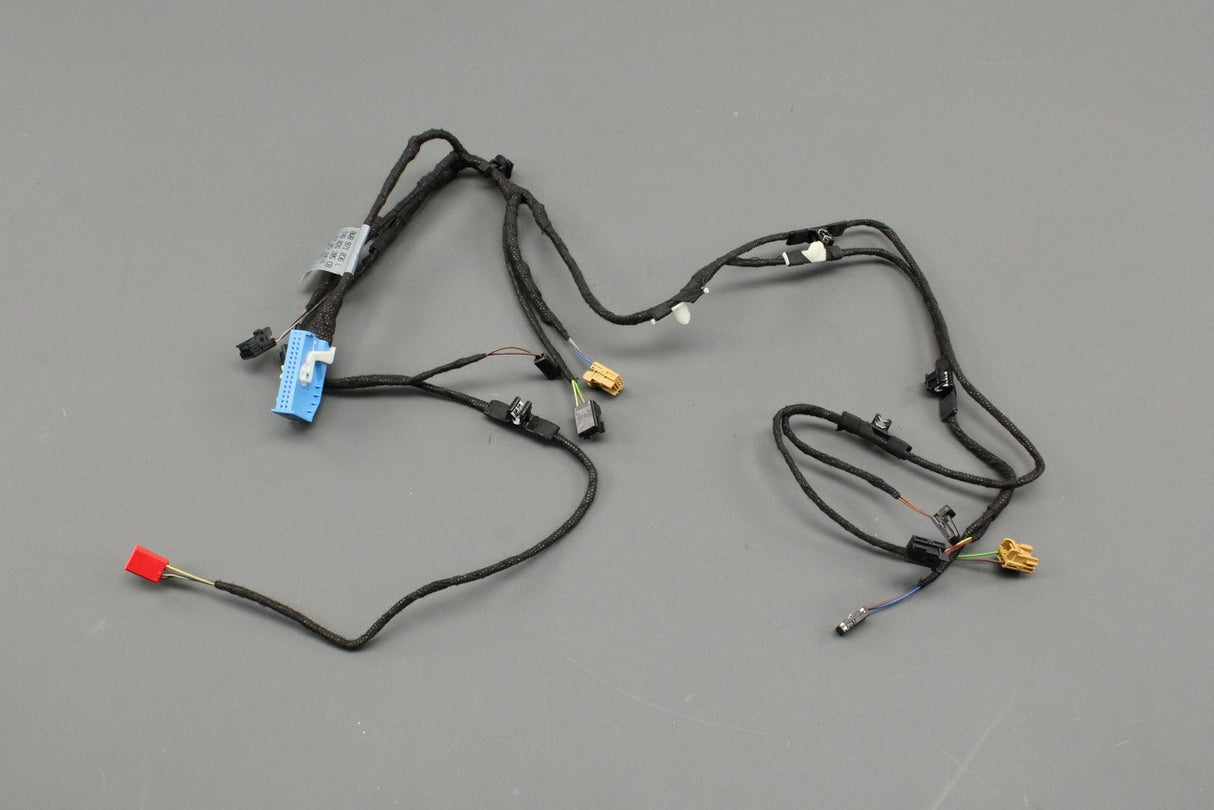 Audi A5 S5 Sportback door card wiring harness (front left) 8W8971036L
