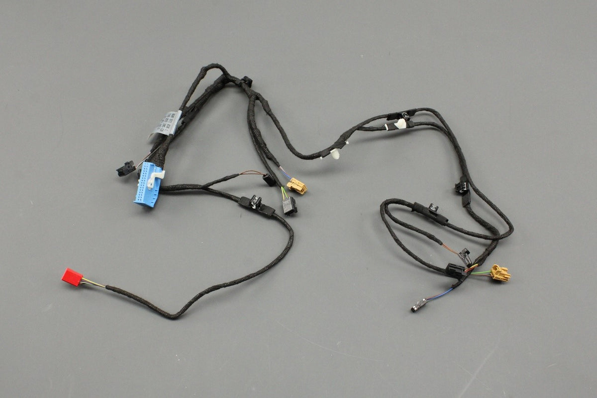 Audi A5 S5 Sportback door card wiring harness (front left) 8W8971036L, view 1