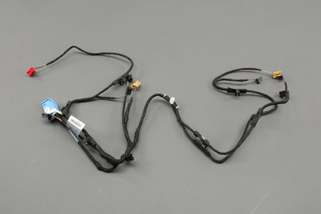 Audi A5 S5 Sportback door card wiring harness (front left) 8W8971036L
