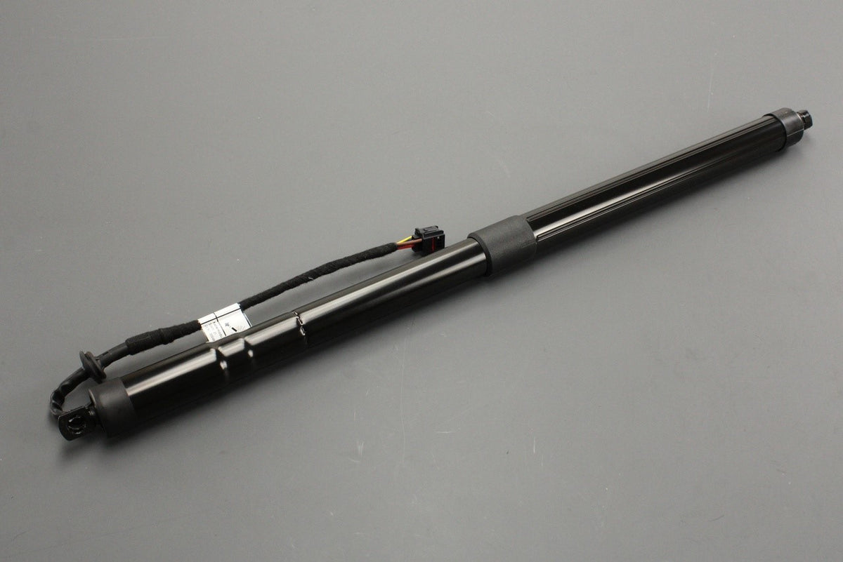 Range Rover Evoque 2012-2019 powered boot strut LR135655, view 1
