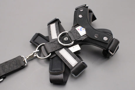 Audi accessory medium dog safety harness (15-30kg) 8X0019409A