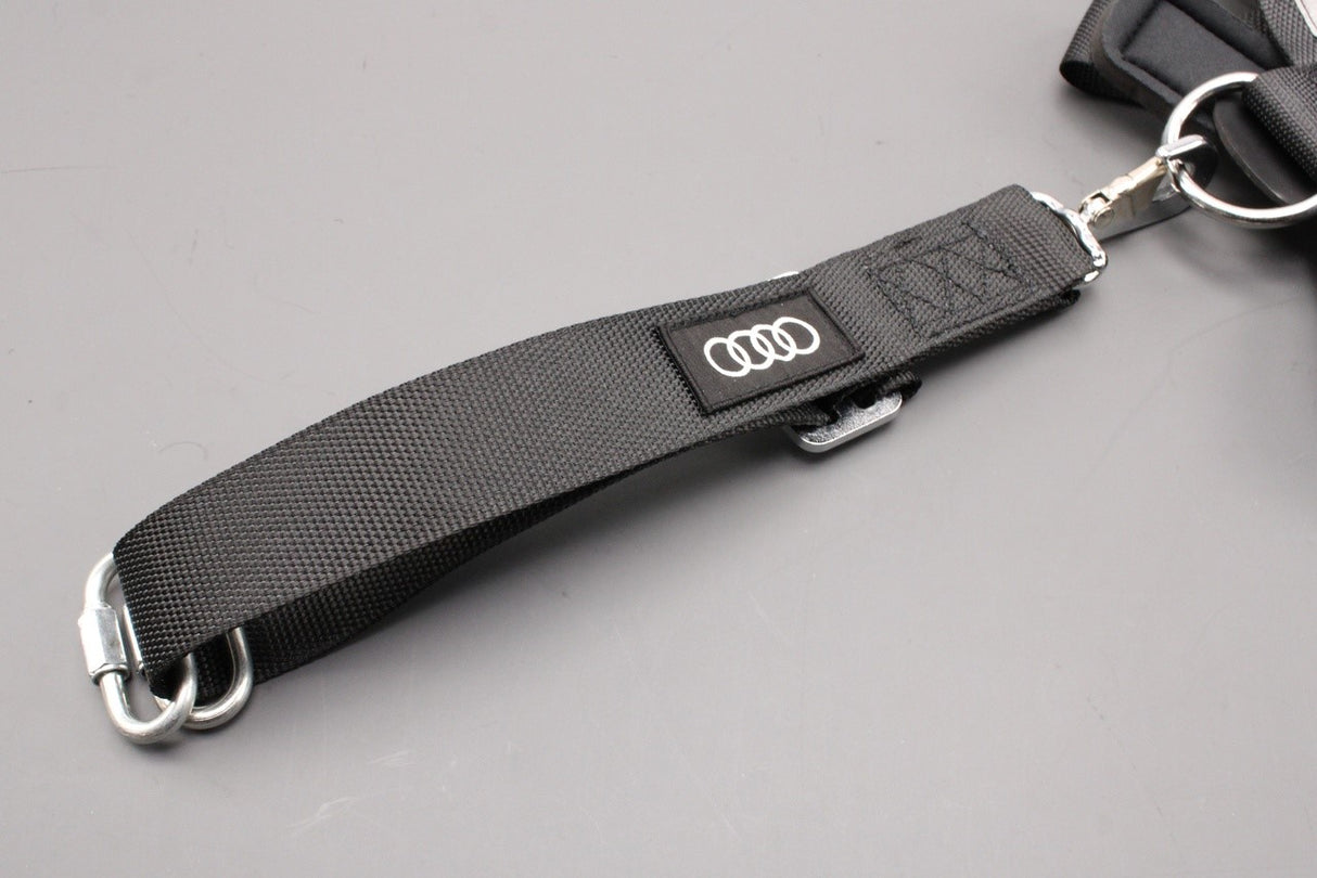 Audi accessory medium dog safety harness (15-30kg) 8X0019409A
