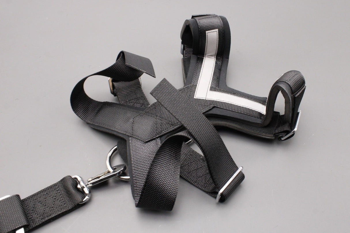 Audi accessory medium dog safety harness (15-30kg) 8X0019409A