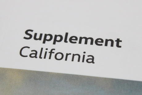 VW T6 California 2016-2019 owners manual supplement 7E0012720HE