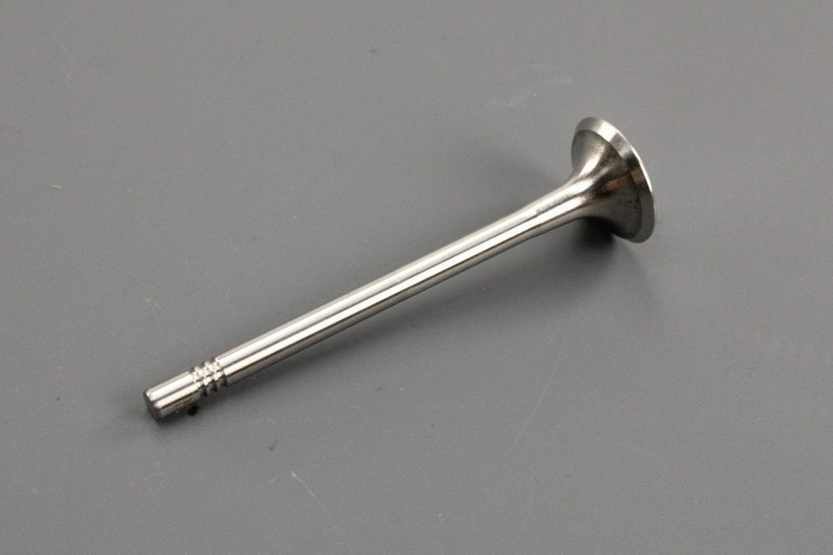 VW Audi Skoda SEAT 2012-on exhaust valve (2.0 TDI) 04L109611B
