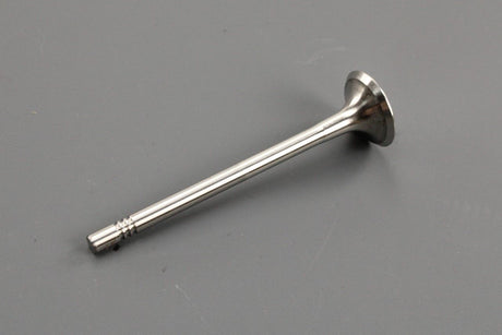 VW Audi Skoda SEAT 2012-on exhaust valve (2.0 TDI) 04L109611B