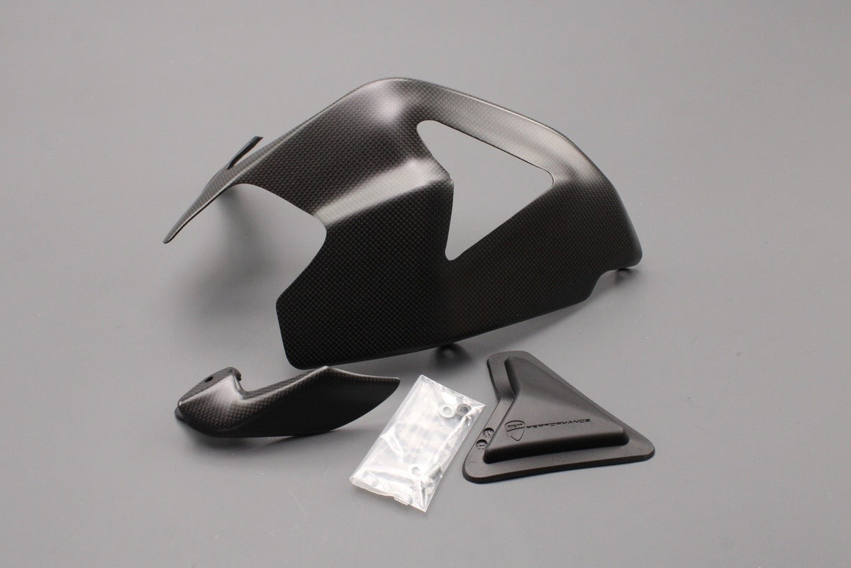 Ducati 1199 1299 V2 Panigale 14-18 carbon swingarm cover guard 96900212A, view 1