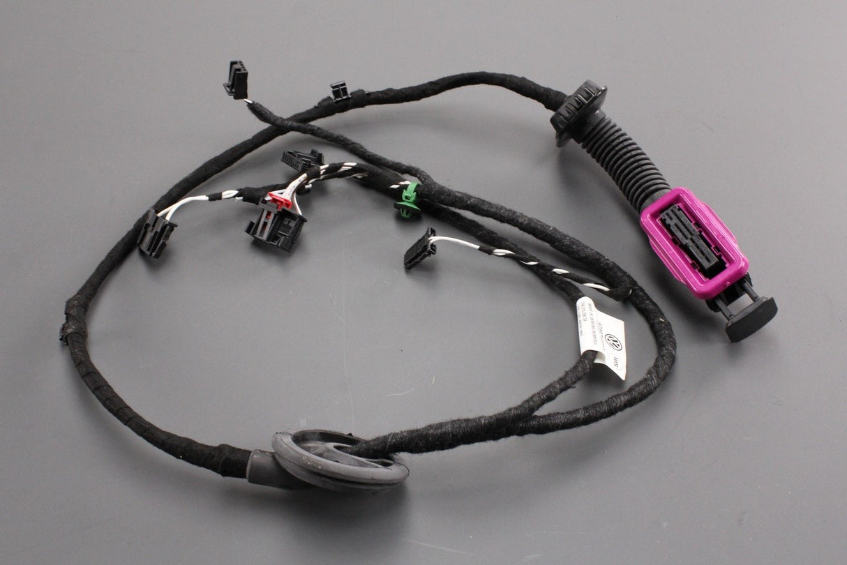 VW Golf MK7 MK7.5 door wiring harness (rear, left) 5G4971693T